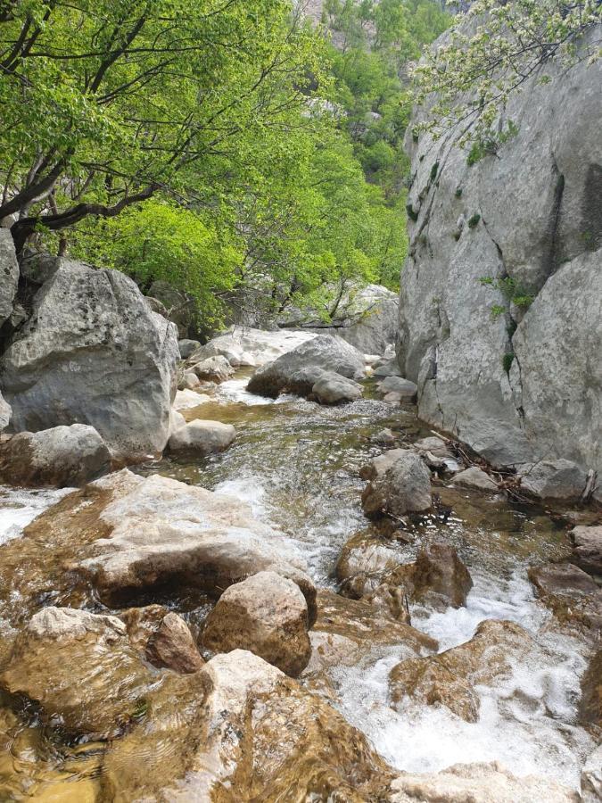 Apartamento Vito Starigrad Paklenica Exterior foto