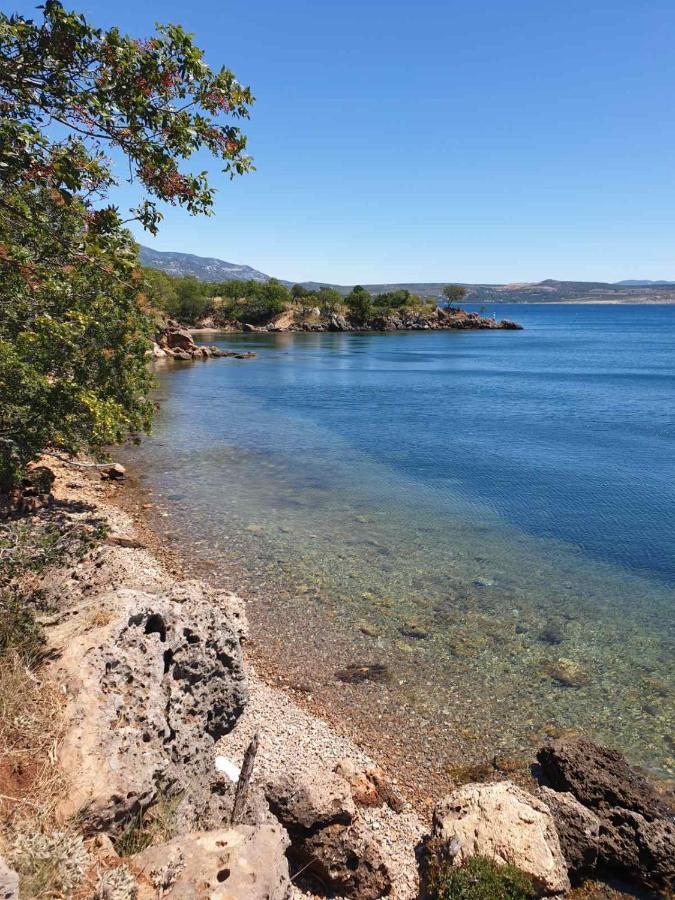 Apartamento Vito Starigrad Paklenica Exterior foto